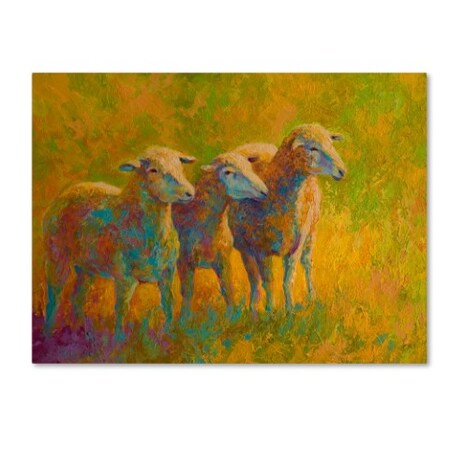 Trademark Fine Art Marion Rose 'Sheep Trio' Canvas Art, 35x47 ALI7774-C3547GG
